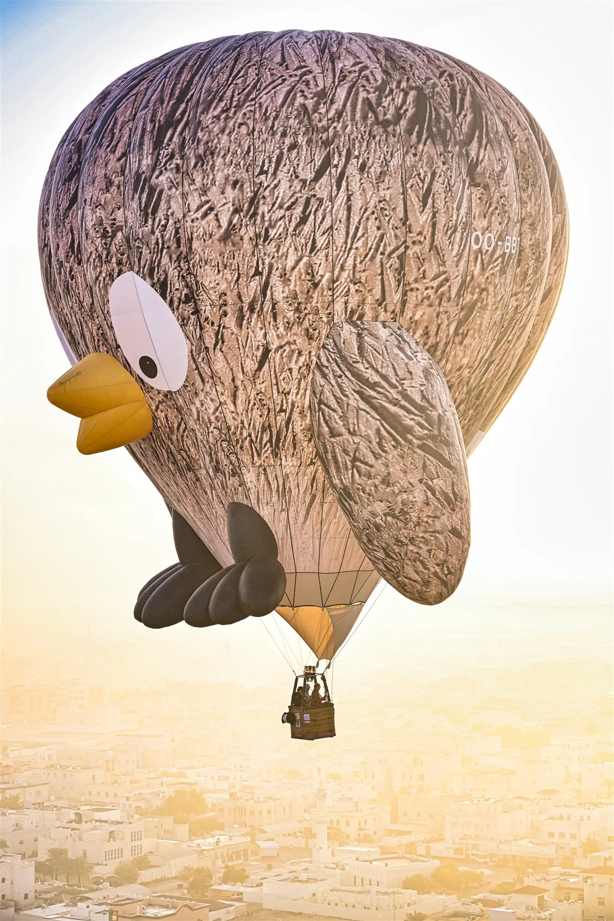 Luchtballon