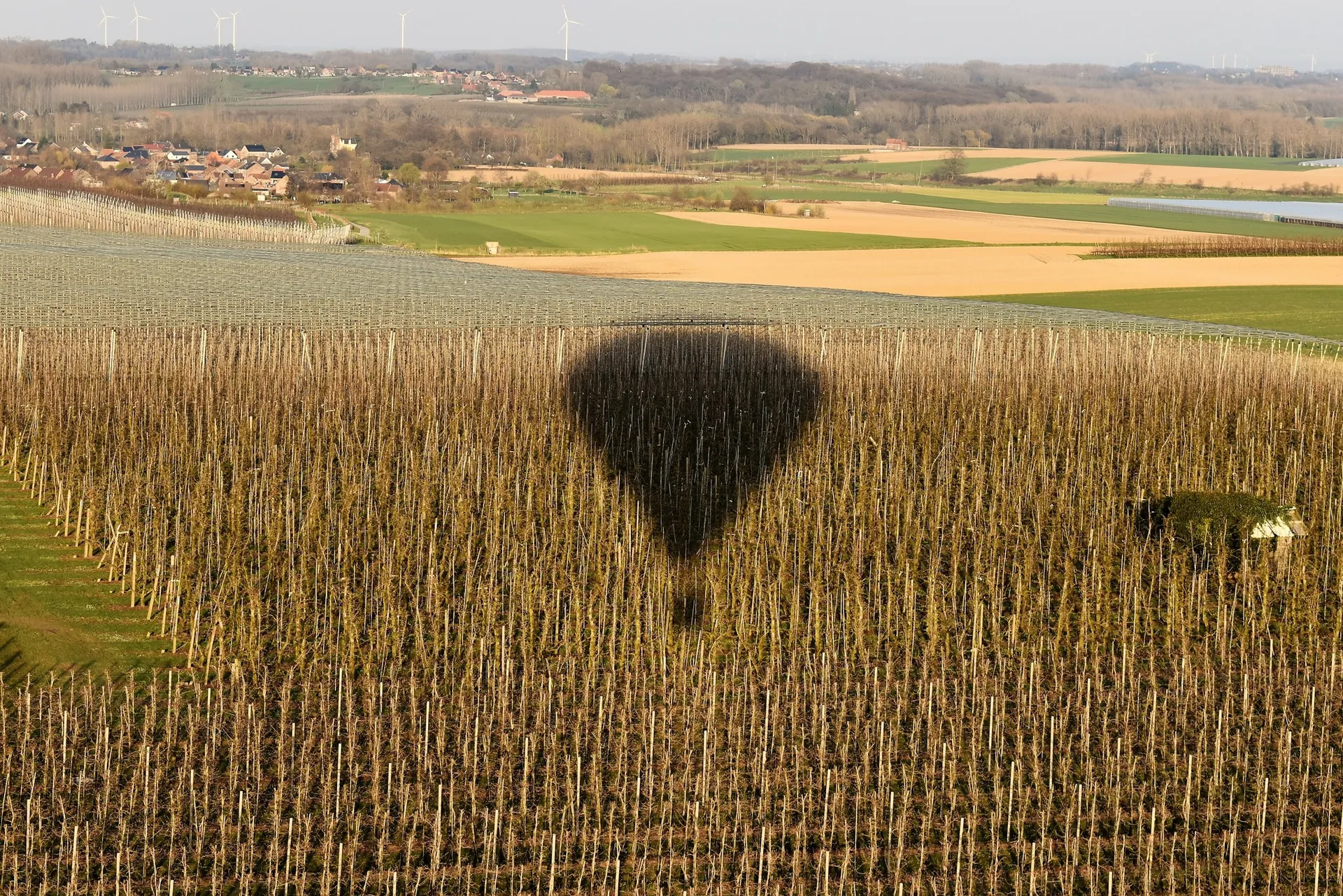 Teambuilding ballonvaart Limburg